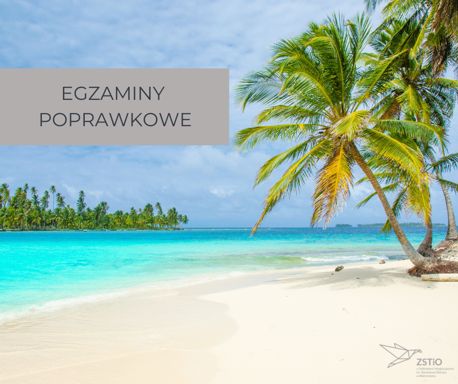 plaża, palma , w tle morze i rośliny